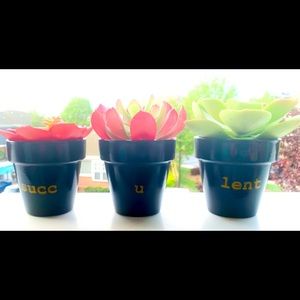 Succ-u-lent pot trio